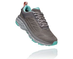 Hoka One One Challenger Low GORE-TEX Womens Trail Running Shoes Charcoal Gray/Wild Dove | AU-8136254